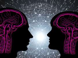 Дослідження показало відмінності між мозками людей, які мають різні рідні мови