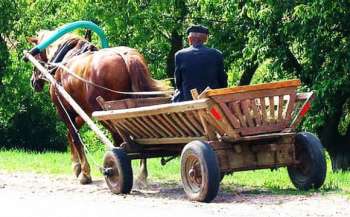 П'яте колесо - Ігор Лікарчук