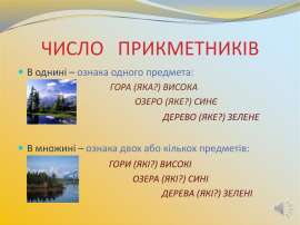Однина і множина прикметників