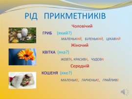 Рід прикметників