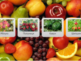 Як виростають фрукти та ягоди