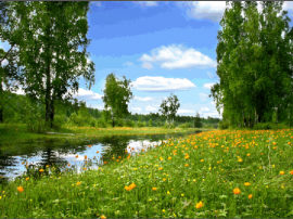 Рослини рідного краю