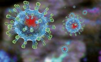 Распространение штамма «Омикрон»: будут ли закрывать школы